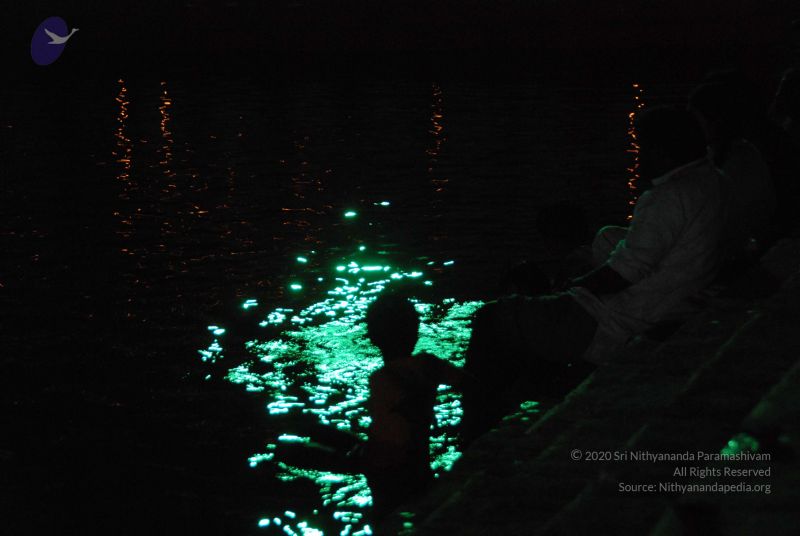 File:20100102 Photo 1259 1BYSJXeqrowdte8XEWmXLJZhn51NylS8M.JPG