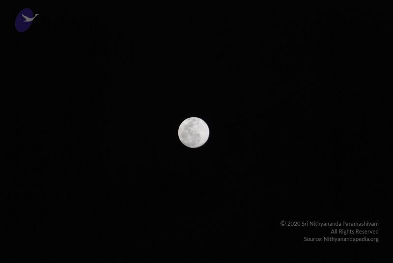 File:20100102 Photo 1272 1SsrEKck9l3vJt-Q4PkFRW9qIN4T48c46.JPG