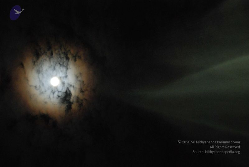 File:20100102 Photo 1274 1MZWsLt73eHH-sdvb2I54EBNAU-RpL 9K.JPG