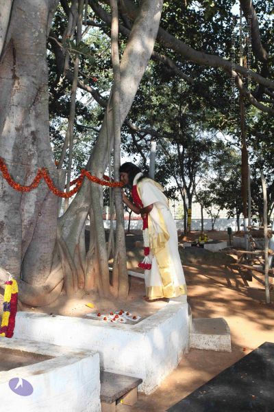 File:20100102 Photo 1355 10xgOEUO4Qv6Ad1SCB0yJs7JTnTzsDSsJ.JPG