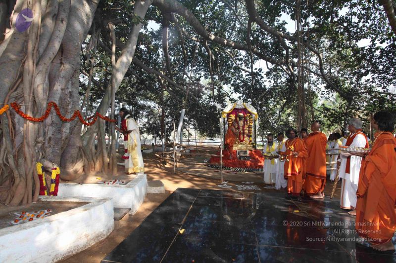 File:20100102 Photo 1356 1EZgl6KXMFxINFCK76dbaa38geU7jjPqC.JPG