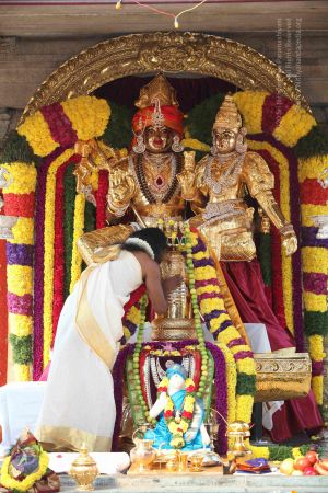 20100102 Photo 1382 1Lsnje0SSprbJHE38d76WN8FEGV5V2Juq.JPG