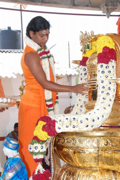 File:20100102 Photo 1494 1ToANR0 POVgi3Dbd8Yd-53N-NzRxTfX7.JPG