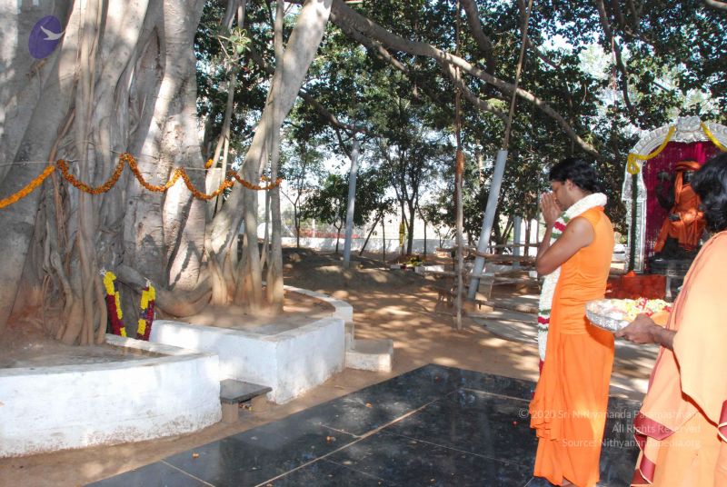 File:20100102 Photo 1513 1j37Co2M4AR9omOFE-d54gUhXA0m xL 3.JPG