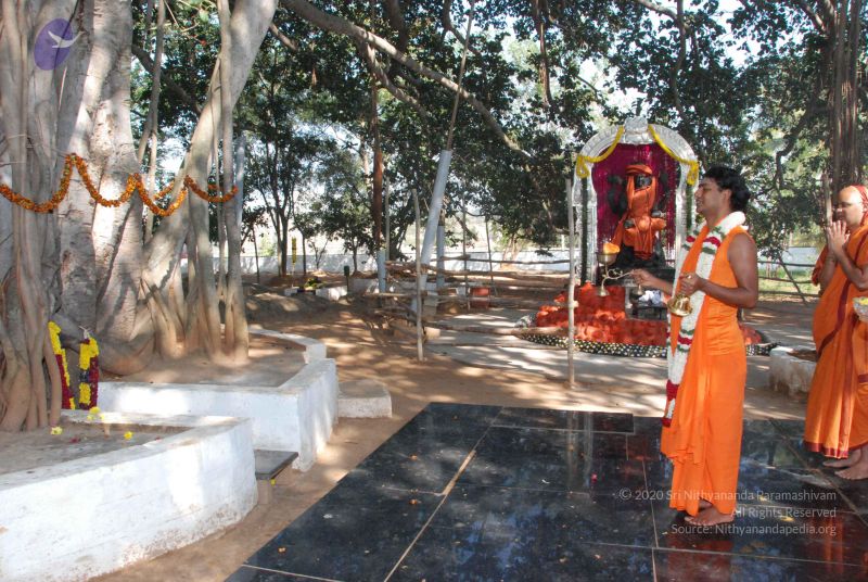 File:20100102 Photo 1516 1lXDMp2zdrmebvFzLRszINmHZNk9BnHf-.JPG