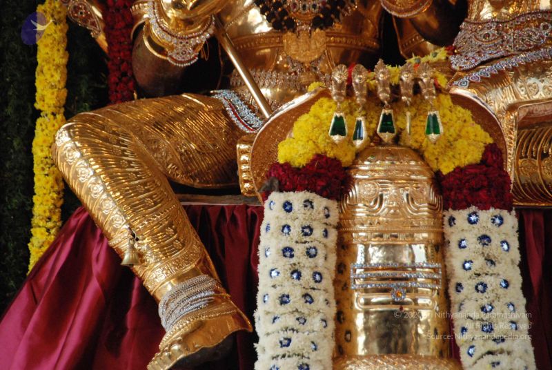 File:20100102 Photo 1534 1sfzePVt4Atb n8jPlToRw6PH6~PAEHc.JPG