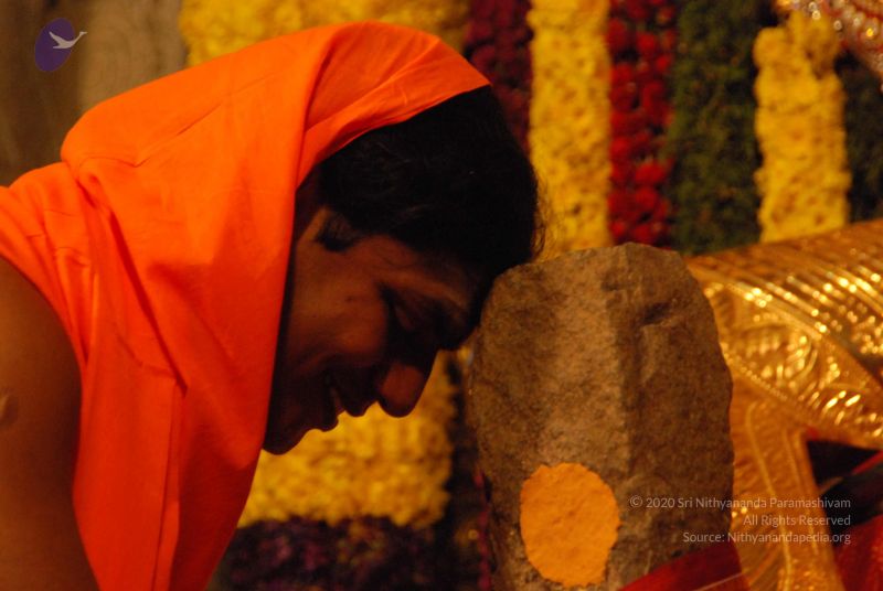 File:20100102 Photo 1560 1pX82gGCCY5SobJu5CckPy8p4J38jFNUg.JPG