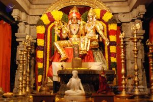 20100102 Photo 1642 1gqQ6ei9EUQ0MrpMxjisq4ms50DZp5pJS.JPG