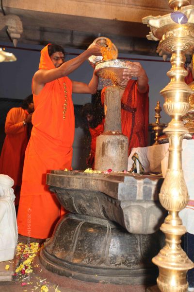 File:20100102 Photo 1666 1cyp3jAxeU6-j7fFIXMj9ISc-octUEwOz.JPG