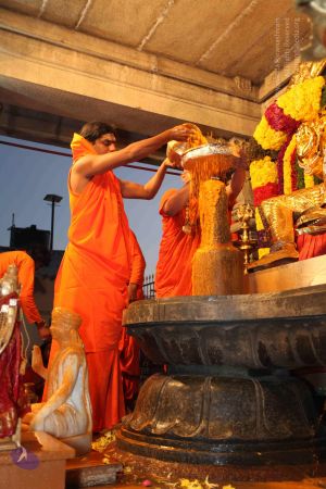 20100102 Photo 1678 1Jtq253JeWgUMBvNTV33gpNHyO6yxxTAD.JPG