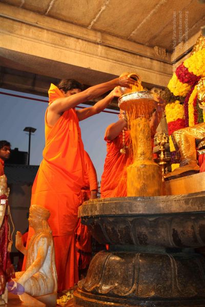 File:20100102 Photo 1679 1AtwpLDAtjzSQ1fkOYE3roCaWvhZk61P .JPG