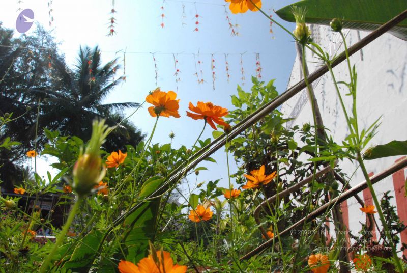 File:20100102 Photo 1723 1x6A8NQrGiTQ72CFn8Ma7Yh44eqqTX1Uo.JPG