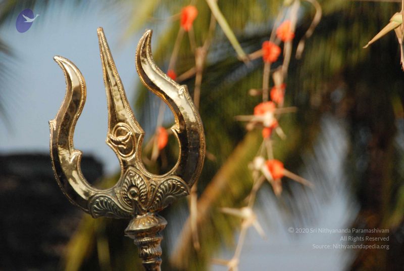 File:20100102 Photo 1752 1YYKdN8M8LTkOKxopr GxXQdpP5 8sTGb.JPG