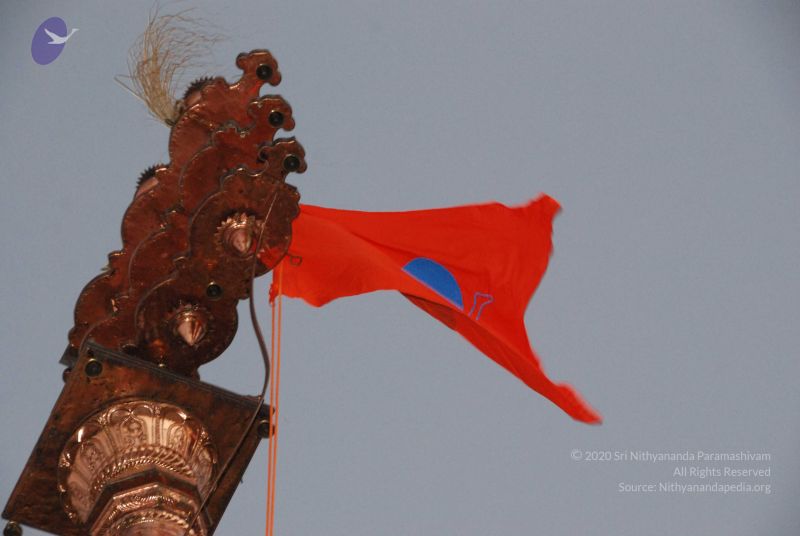 File:20100102 Photo 1869 1DncwSsOh yCieT8KAH4eofeKV458y3ht.JPG