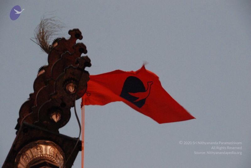 File:20100102 Photo 1872 1MXdBER9yHWkL7XV6yMftvsQ0koXV9YdA.JPG