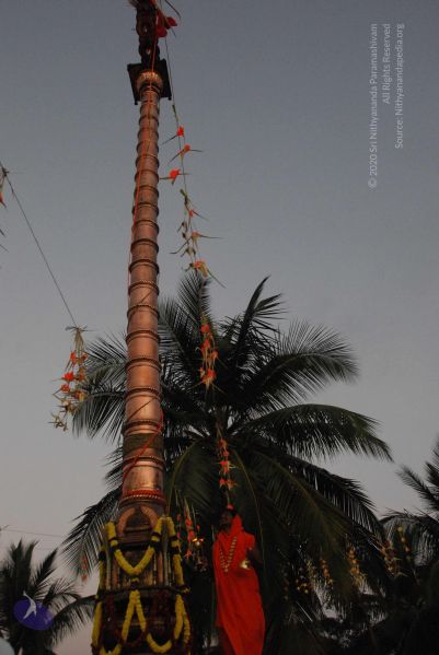 File:20100102 Photo 1889 1kNgW-a-EUXvz78nz5eBXXGpQwwoYdBWI.JPG