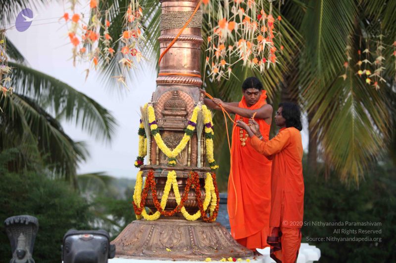 File:20100102 Photo 1942 1EkgVR4PzySOkjk0H2MDsPW1Y9tovDtHr.JPG