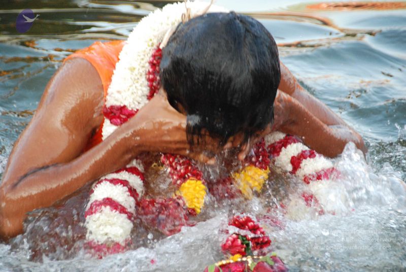 File:20100102 Photo 2050 1ggfbxjBgjSFO8LoJBWkl9z-fLLU5fmcB.JPG