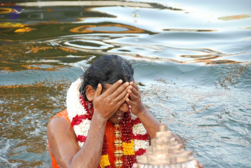 File:20100102 Photo 2051 1kIAfCxOzZkUgva8vFuQmpsRgb1hig9sJ.JPG