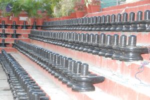 20100102 Photo 2311 1KKrhWKjGf85pH1o0UcSYe2FiQShxUYhD.JPG