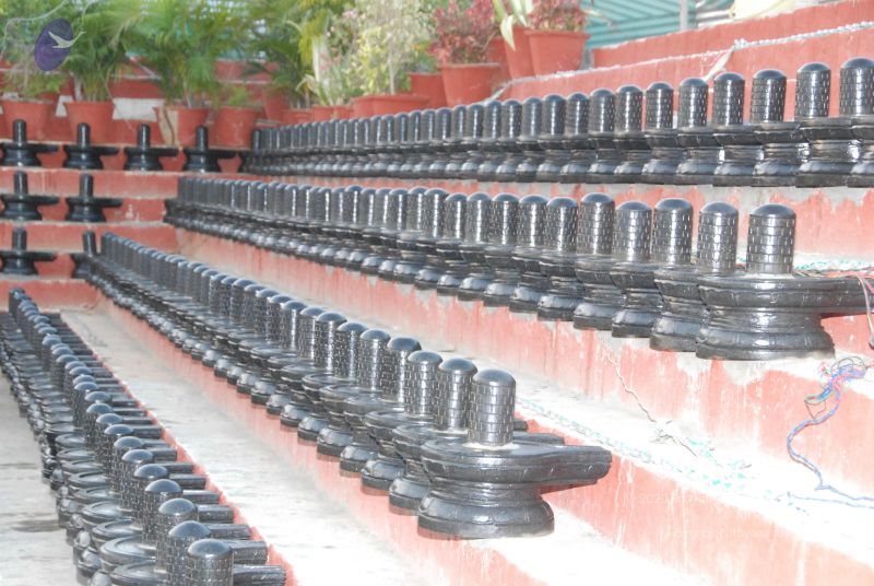 File:20100102 Photo 2311 1KKrhWKjGf85pH1o0UcSYe2FiQShxUYhD.JPG