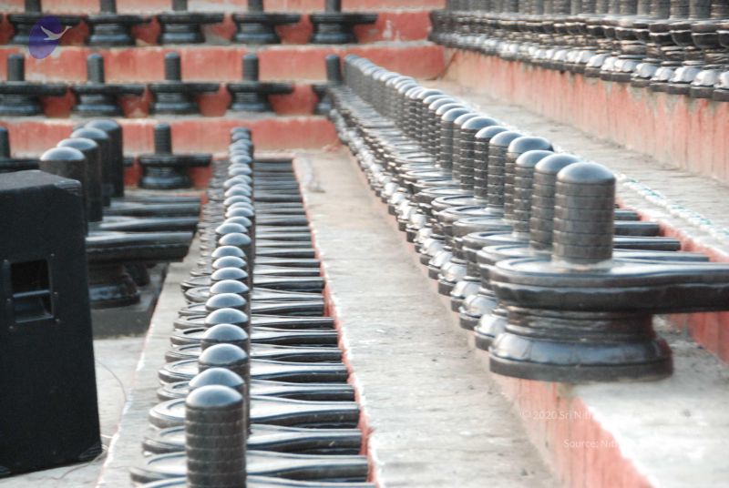 File:20100102 Photo 2312 18w92m4tyAhRnToN-dv-k4Nit9baa1pbp.JPG