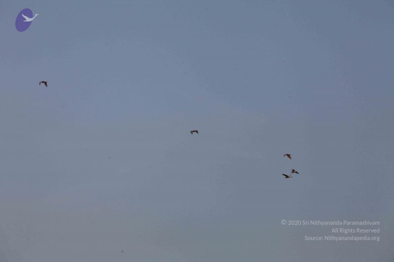 File:20100102 Photo 2437 13 SdyiFB7j5tc21aWIq8FY-RL3JYJEcA.JPG