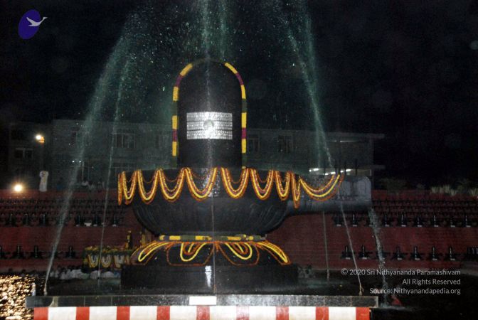 20100103 DSC 4055 CMP WM01.jpg