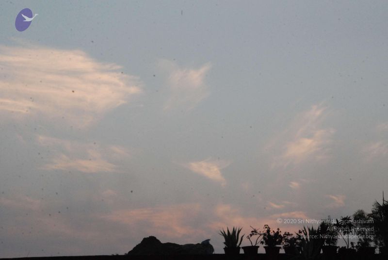 File:20100104 Photo 1012 1 RSYG1R699pOufFRCSoihA83V DRmJoe.JPG