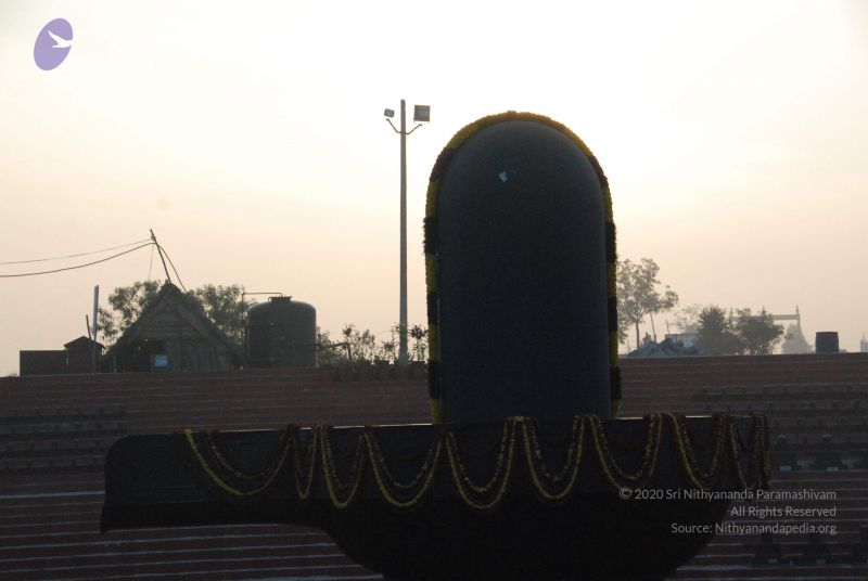 File:20100104 Photo 1033 1qxGNKELLzHkYFmfu7wzj-jNglDCZCCwU.JPG