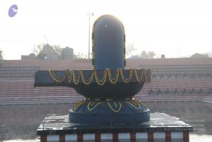 20100104 Photo 1034 1Wwfd9YqA2NXPfHZKietrrahGq-KC63nd.JPG