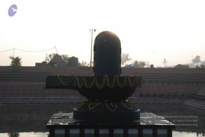 20100104 Photo 1037 19V4rd1kbw Qh-2wtZNy2fkjrl-yqFWDD.JPG