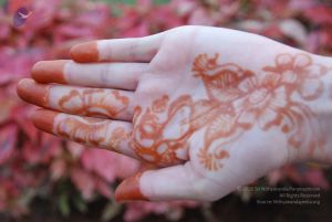 20100104 Photo 1045 1YDsGk3DkfxW1kzPU-H-kr8yx3fRFjXuo.JPG