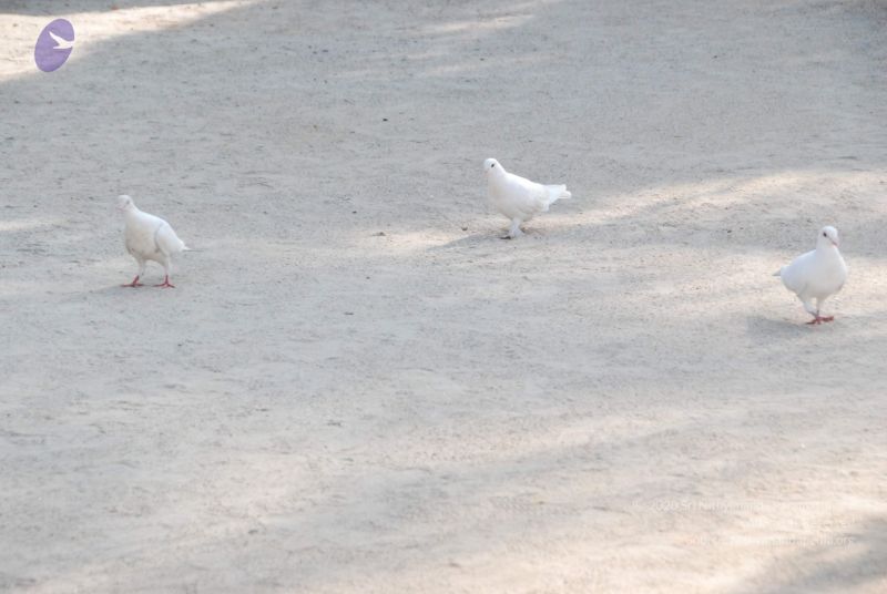 File:20100104 Photo 1051 1K607C7NPWcuJJQqewFdWAk40phrjafQQ.JPG