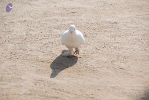 20100104 Photo 1057 1V uMkoKGq6wAJbGVmFm0kEnhsQU6PmoP.JPG