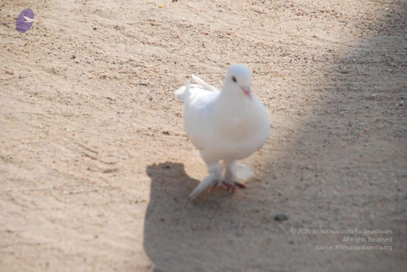 File:20100104 Photo 1061 1zEYPOP3H-OaPWFBuDXJeQyowlZwMpk6Q.JPG