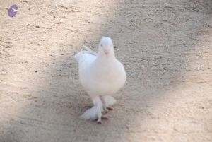 20100104 Photo 1062 1j3bkBqAt0pVaYO2hSrZ1o9ecSy97O4uq.JPG