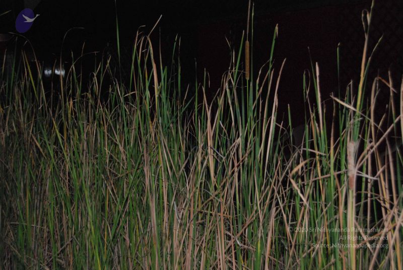 File:20100104 Photo 1084 1BwGFU52PyP2e6hzxhiGkShGqmcAWjJYm.JPG