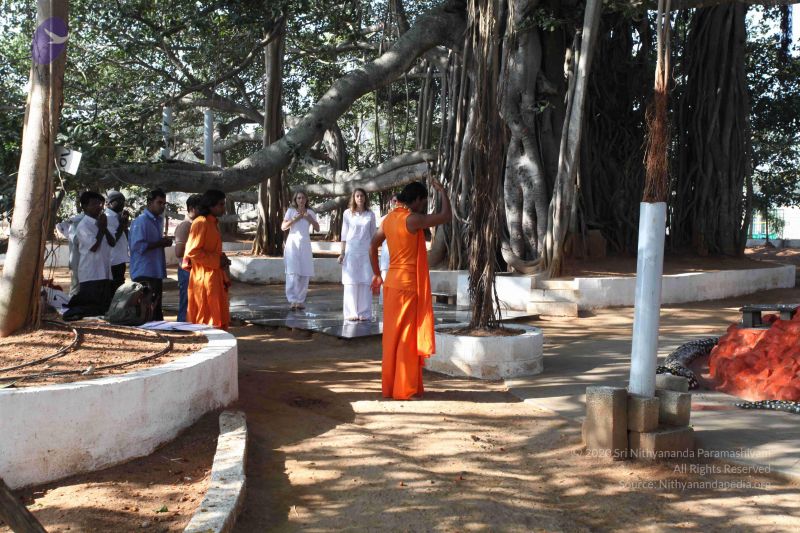 File:20100104 Photo 1112 1JhMi0xwRZgH6WDeu rWhqRBNuyq2A--4.JPG