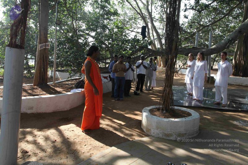 File:20100104 Photo 1113 1SrCL5GYLL6JYqcTDIcrCs9Gh5MMytjpw.JPG