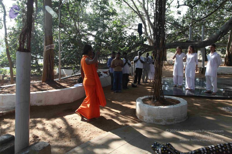 File:20100104 Photo 1114 16clTIEic uQ3hvnAkv397WdS0N iZTFC.JPG