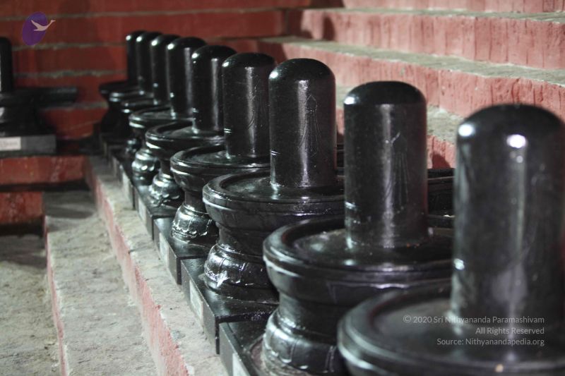 File:20100104 Photo 1202 1SqbsS0OsO1z0f2NllgdkhIxEAREjUOvb.JPG