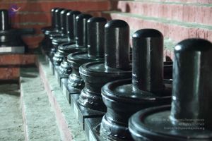 20100104 Photo 1203 1uXiW1Ws2CYBdyLojmrmLOzcB3 sL4moD.JPG