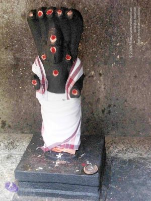 20100107 IMG 2266 CMP WM 0000.jpg