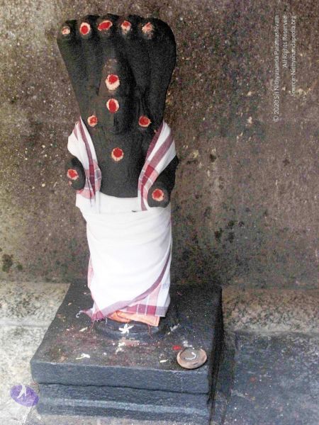 File:20100107 IMG 2266 CMP WM 0000.jpg