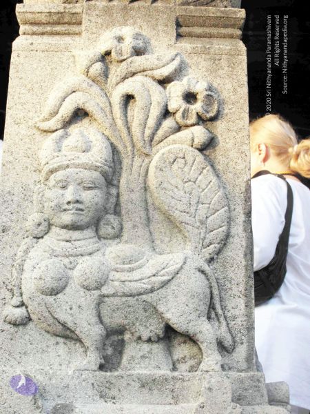 File:20100107 IMG 2269 CMP WM 0000.jpg