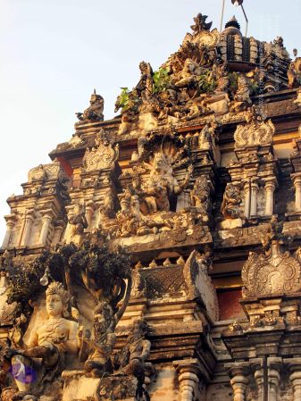 20100107 IMG 2286 CMP WM 0000.jpg