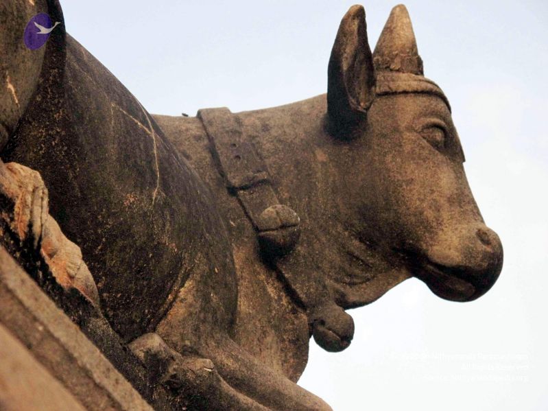 File:20100107 IMG 2287 CMP WM 0000.jpg