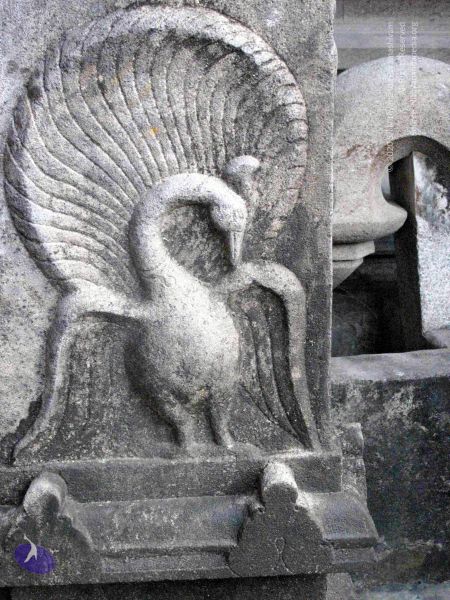 File:20100107 IMG 2291 CMP WM 0000.jpg