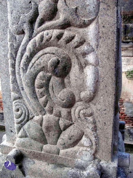 File:20100107 IMG 2295 CMP WM 0000.jpg